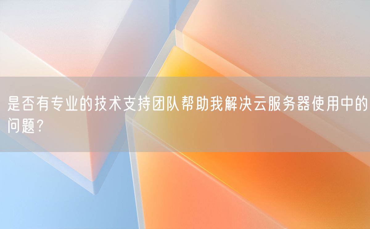 是否有专业的技术支持团队帮助我解决云服务器使用中的问题？