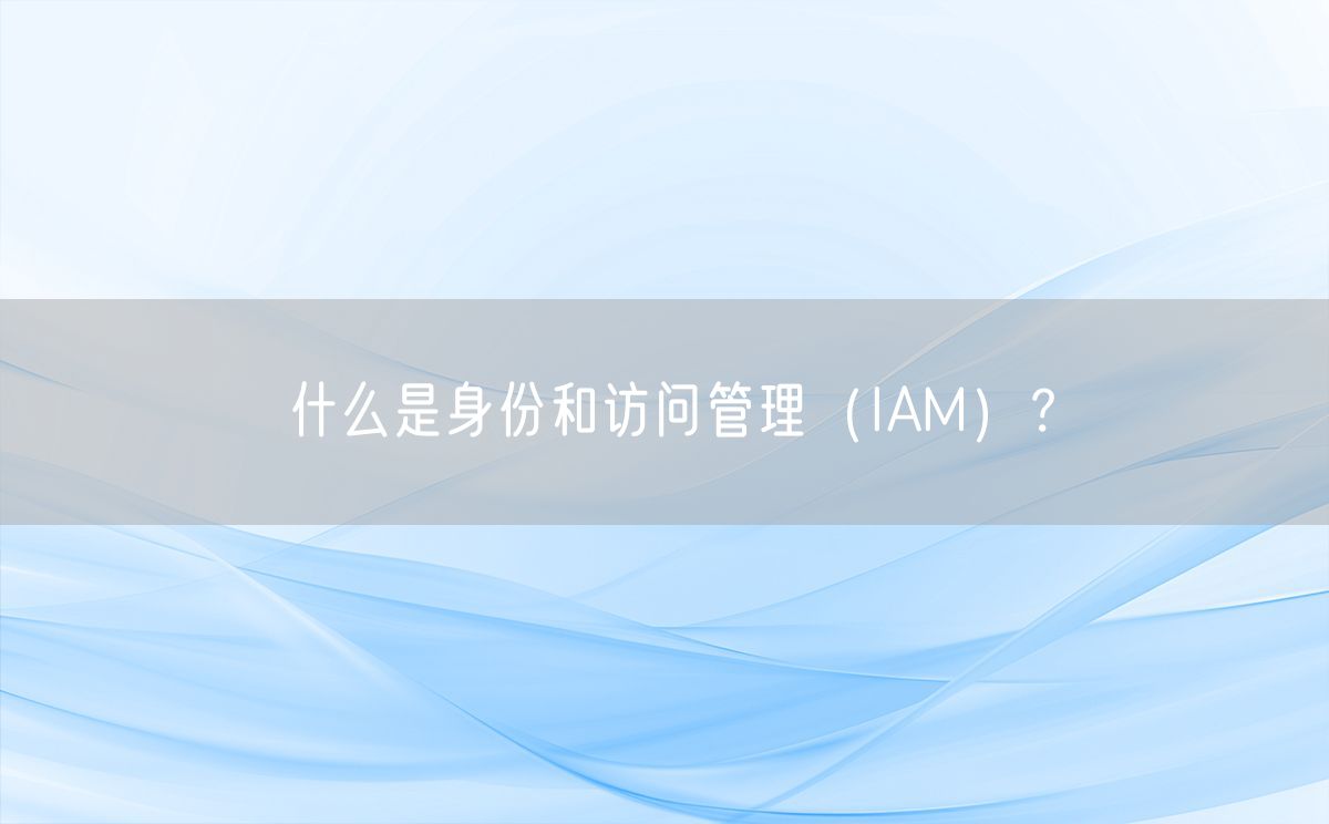 什么是身份和访问管理（IAM）？